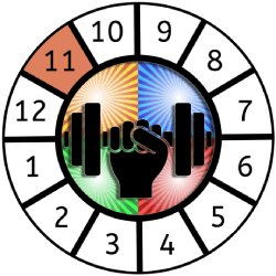 a graphic depicting the 11th house section of the astrological wheel as highlighted